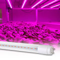 Box Packed LED Tube Grow Light with Sample Provided